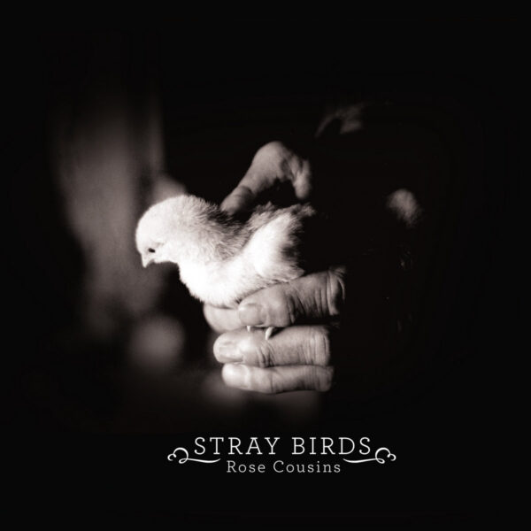 Rose Cousins, stray birds
